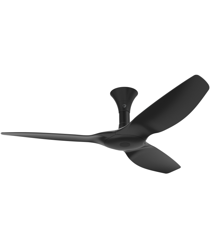 Big Ass Fans - Haiku I Series Ceiling Fan - Low Profile - Black